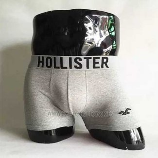 Boxer Hollister Hombre Gris