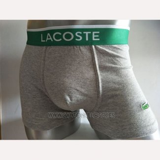 Boxer Lacoste Hombre Verde Gris